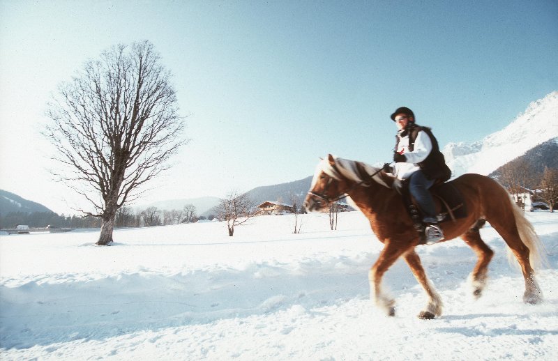 Téli lovaglás Ramsauban - a fennsíkon több lovastanya is található  | Fotó: ramsau.com