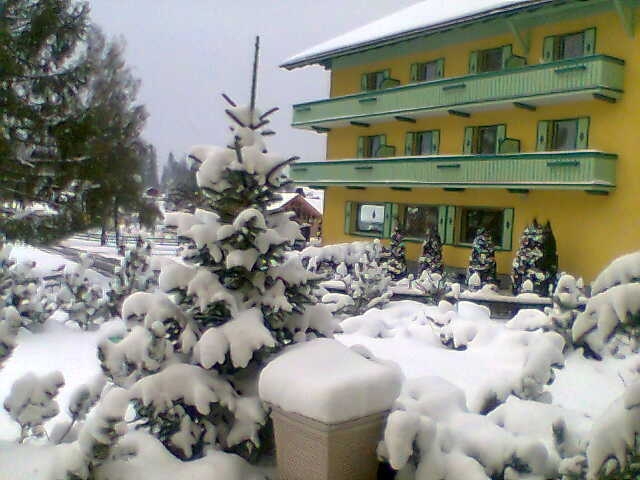 fenyofa-a-Hotel-Montana-elott.JPG