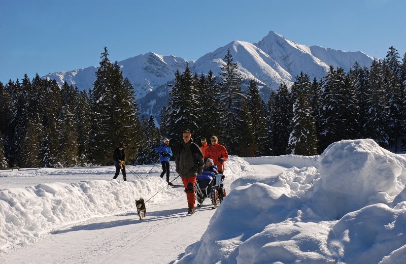 Winterwandern-Wildmoos.jpg