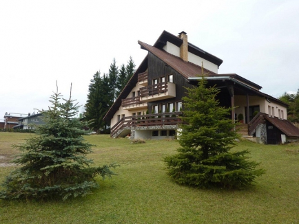 P1010409.jpg