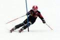 Nivelco Ski Team 2009/2010