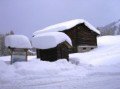 Folyamatosan esik a hó Ausztriában
