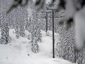 Két nap alatt 175 cm hó esett az USA-ban