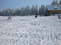 Másfél méteres hó fedi a Hargitát