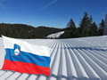 Szlovénia: síelős körkép havazás után