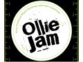 3rd Ollie Jam lesz március 13-án Murauban