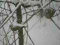 Románia: első havazás a Retyezát-hegységben
