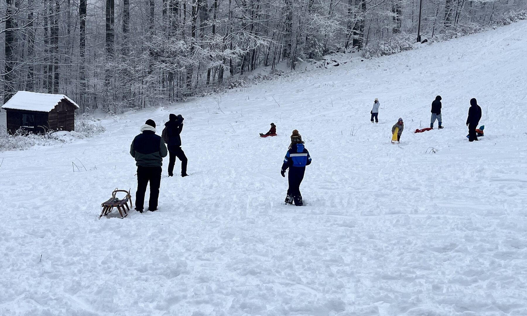 Szánkózók Bánkúton ma reggel (Kép: Bánkúti Síklub / Gramantik Csaba)