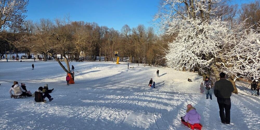 Fotó: Bata Attila / sielok.hu 2026.01.04.