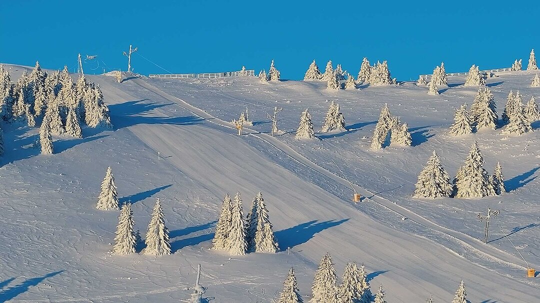 Így nézett ki a pálya  2025. január 17-én reggel / Kopaonik - infoKOP