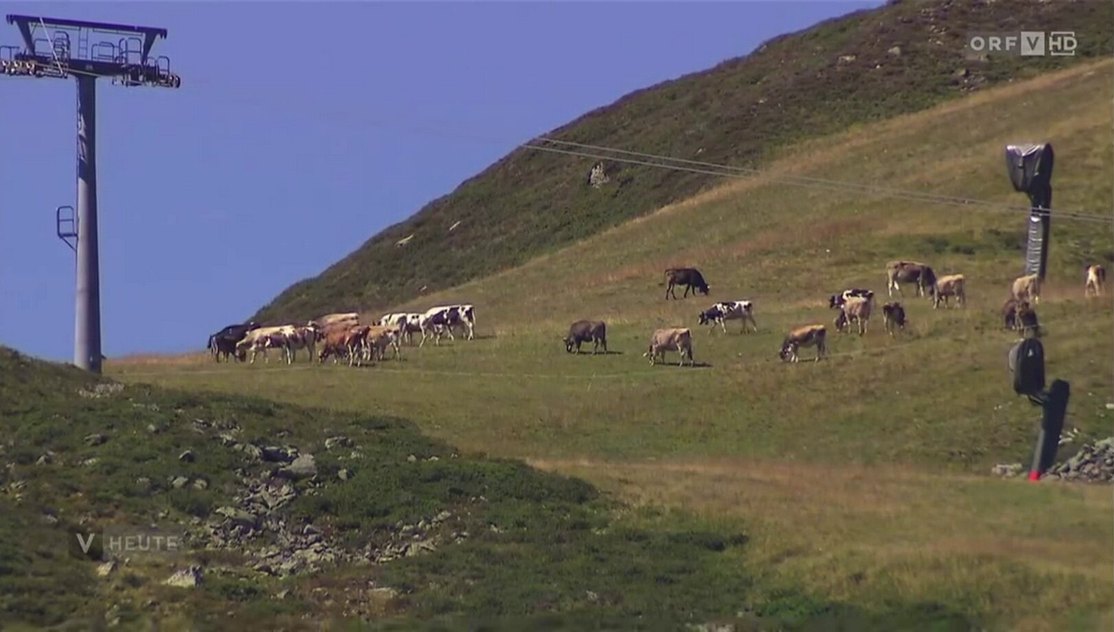 Kép a lenti ORF tudósításból