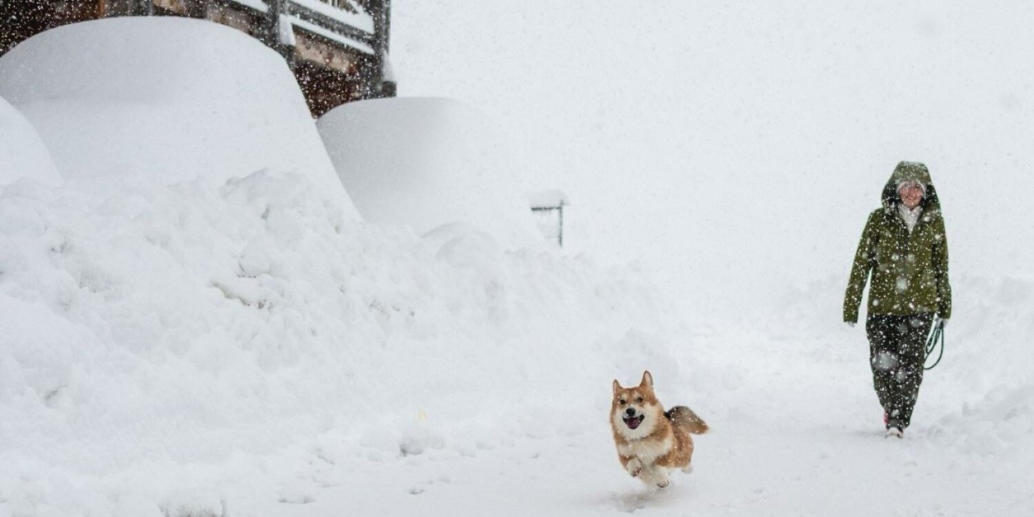 Karácsony előtt / Kép: Prato Nevoso Ski