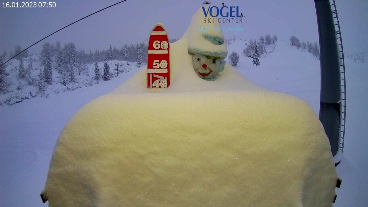 Vogel: mai webkamera a friss hó mennyiségével